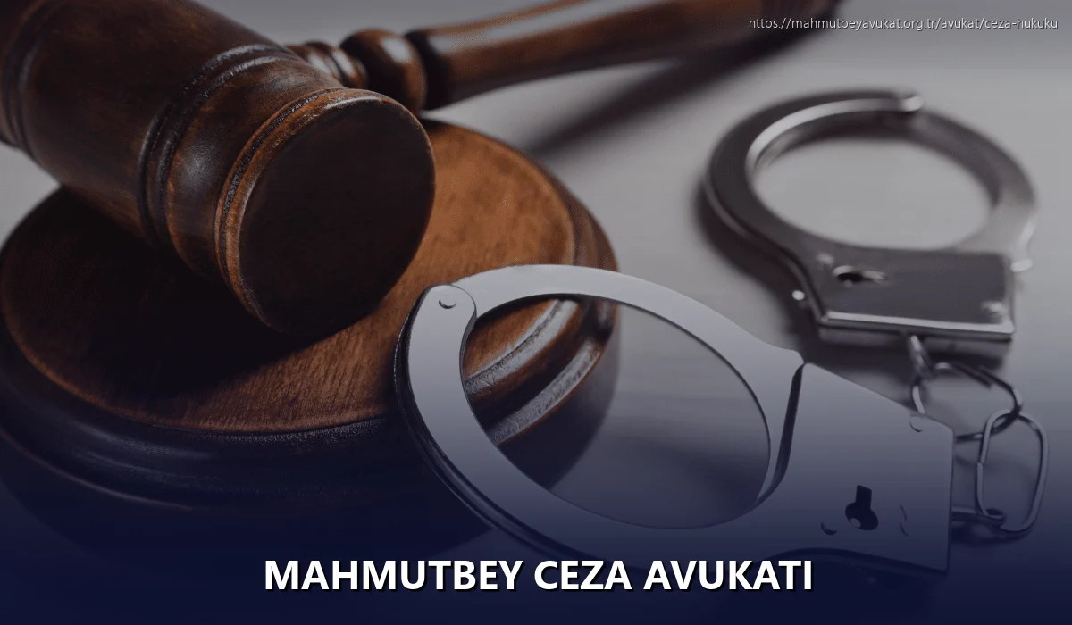 Mahmutbey Ceza Avukatı